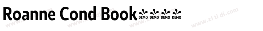 Roanne Cond Book字体转换